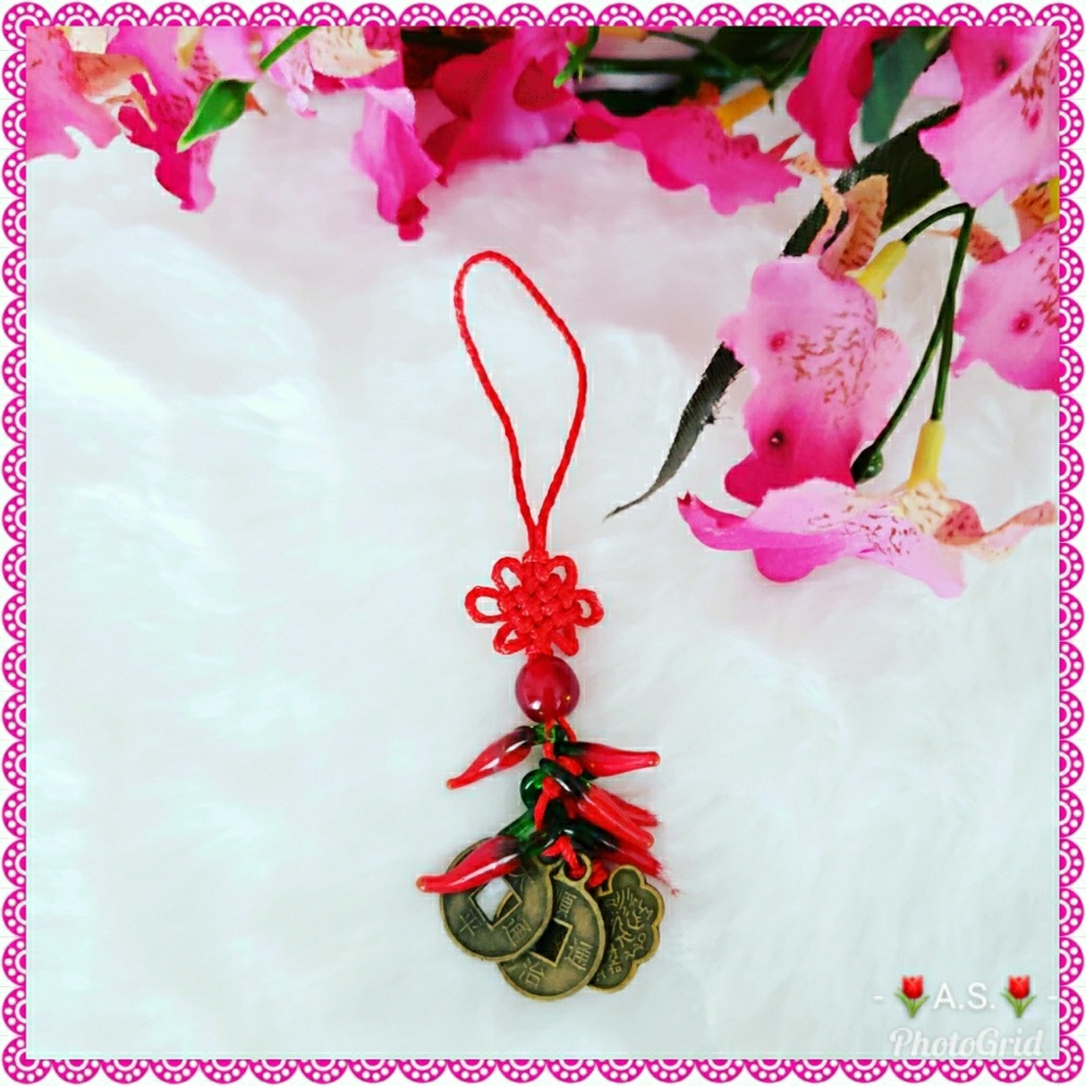 NWOT Purse Key Charm with Red Pepper-shaped Charms